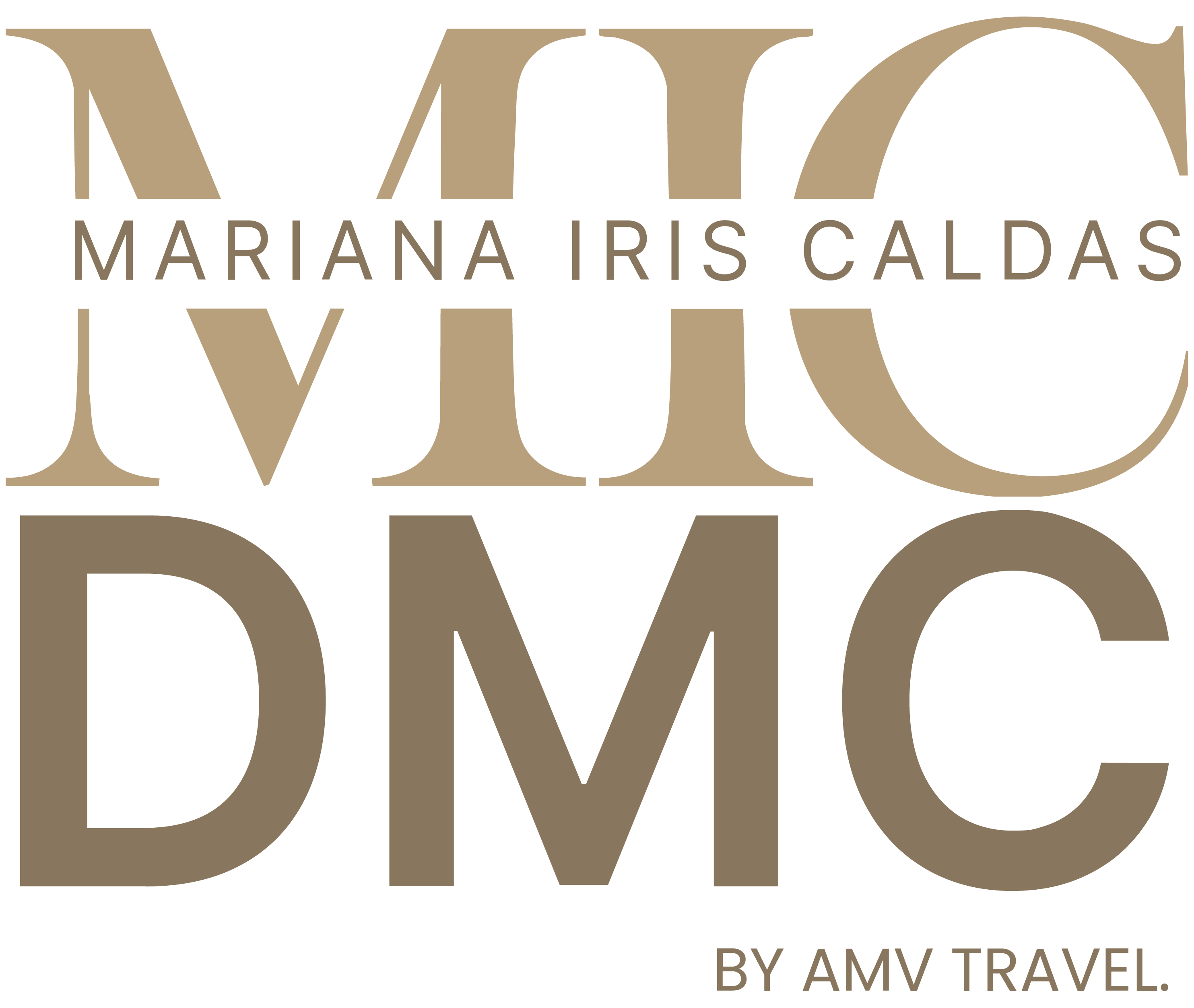 MIC DMC BY AMV TRAVEL
